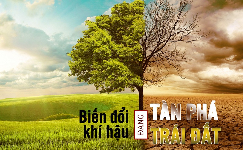 TÌM HIỂU VỀ BIẾN ĐỔI KHÍ HẬU