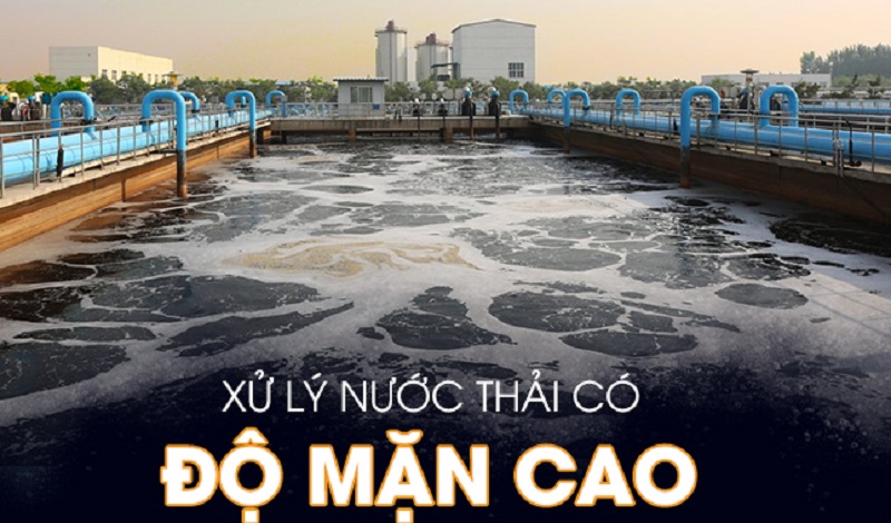 XỬ LÝ NƯỚC THẢI CÓ ĐỘ MẶN CAO